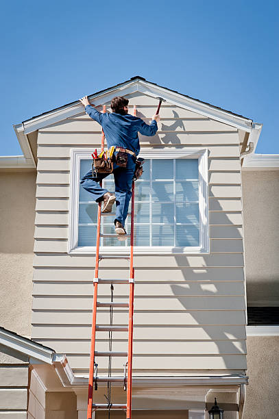 Best Stucco Siding  in Auburn, IL